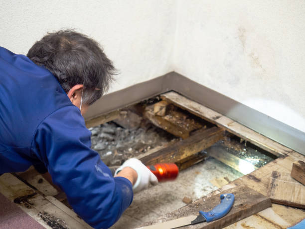 Water Damage Restoration in Fowlerville, MI