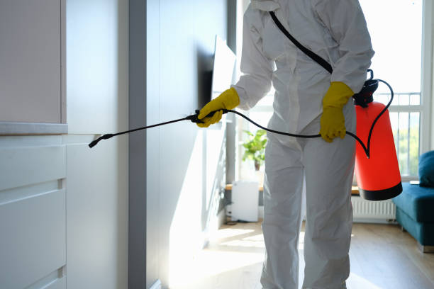 Best Affordable Mold Removal  in Fowlerville, MI