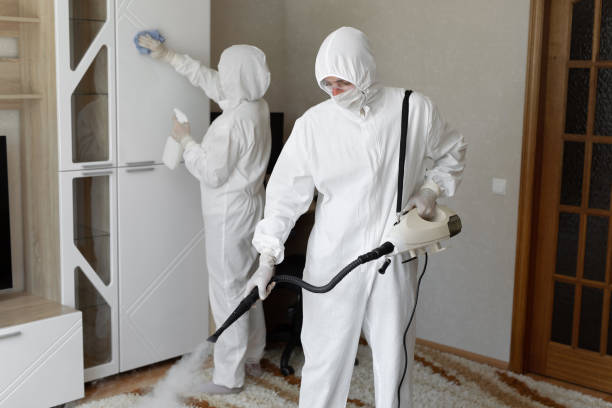 Home Mold Removal in Fowlerville, MI