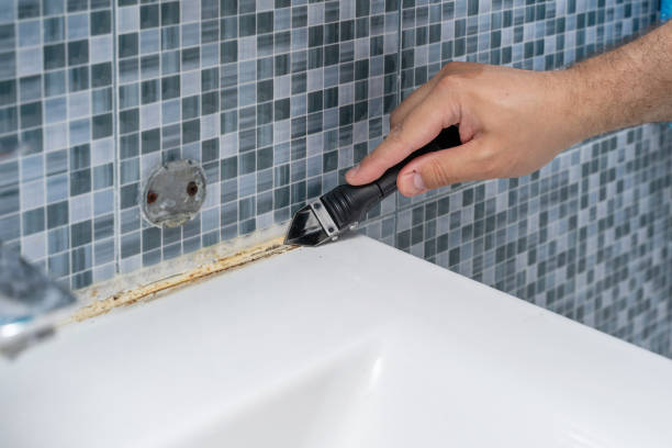 Best Mold Remediation  in Fowlerville, MI