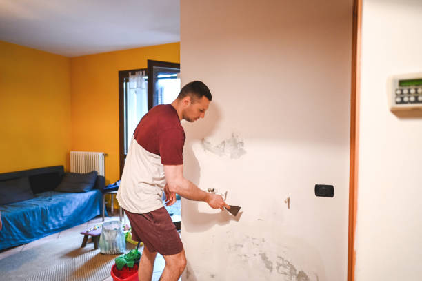 Best Emergency Mold Removal  in Fowlerville, MI